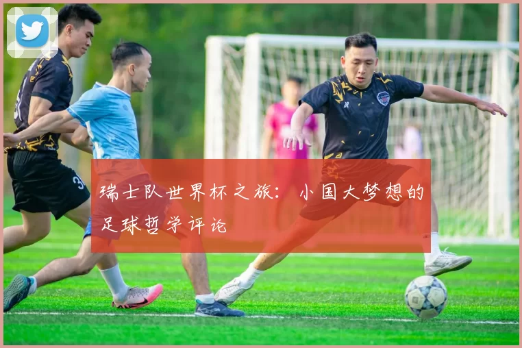 瑞士队世界杯之旅:小国大梦想的足球哲学评论