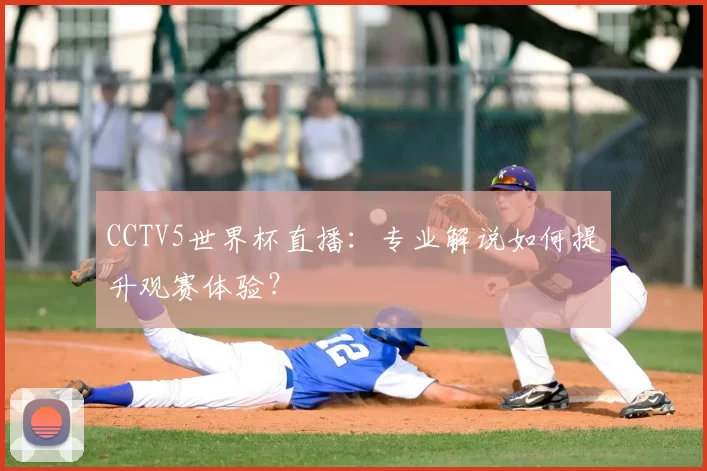 CCTV5世界杯直播:专业解说如何提升观赛体验?