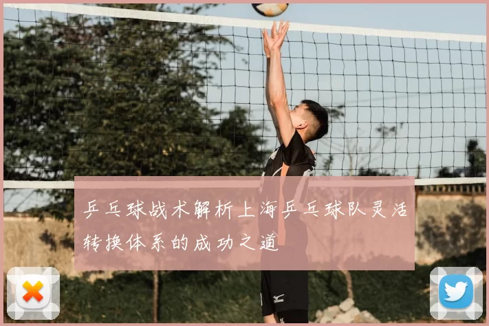 乒乓球战术解析上海乒乓球队灵活转换体系的成功之道