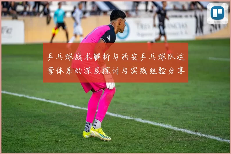 乒乓球战术解析与西安乒乓球队运营体系的深度探讨与实践经验分享