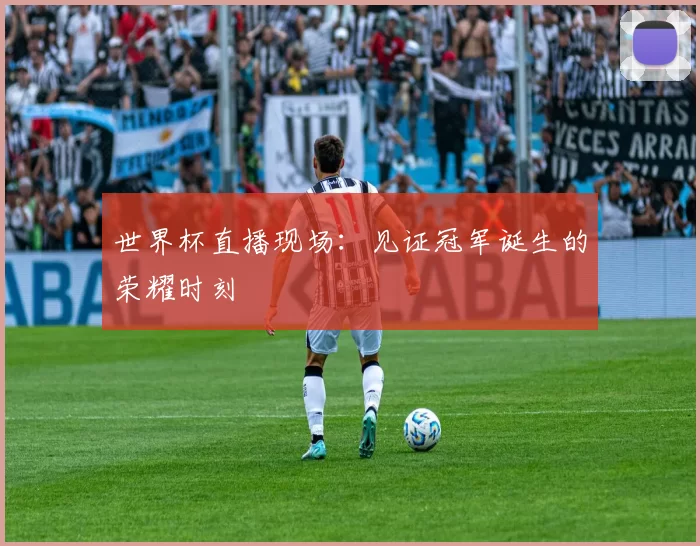 世界杯直播现场：见证冠军诞生的荣耀时刻