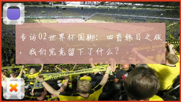专访02世界杯国脚：回首韩日之旅，我们究竟留下了什么？