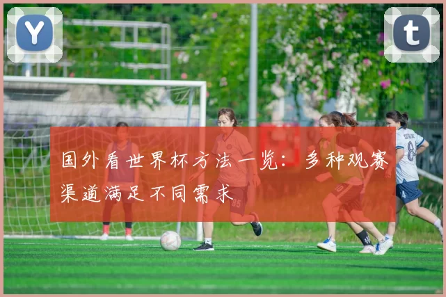 国外看世界杯方法一览:多种观赛渠道满足不同需求