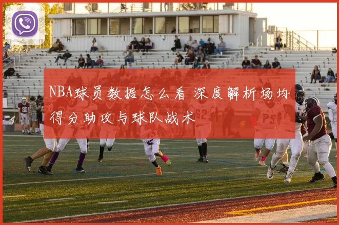 NBA球员数据怎么看 深度解析场均得分助攻与球队战术