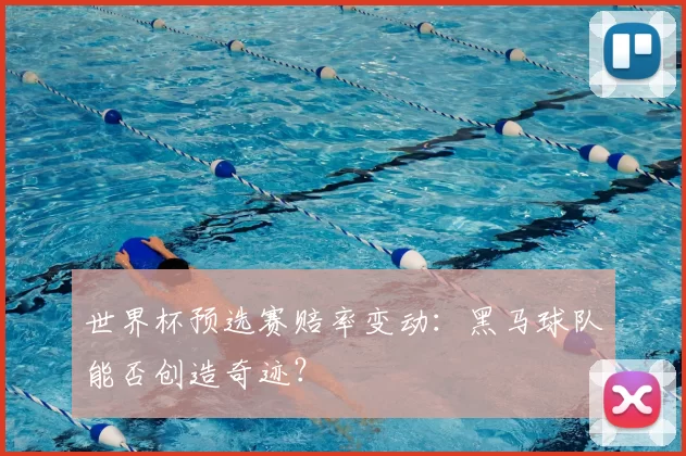 世界杯预选赛赔率变动：黑马球队能否创造奇迹？